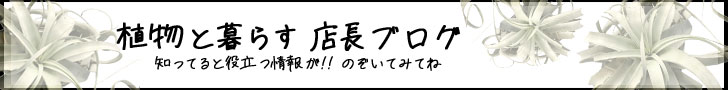 店長ブログ