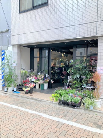 江戸川橋の花屋Kikyo-yaプロフィール画像