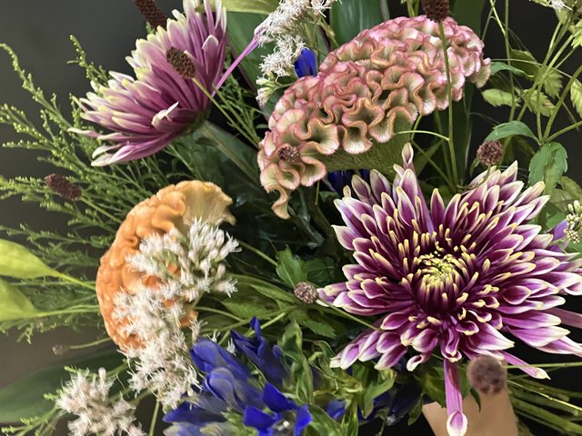 9月のお花イベント