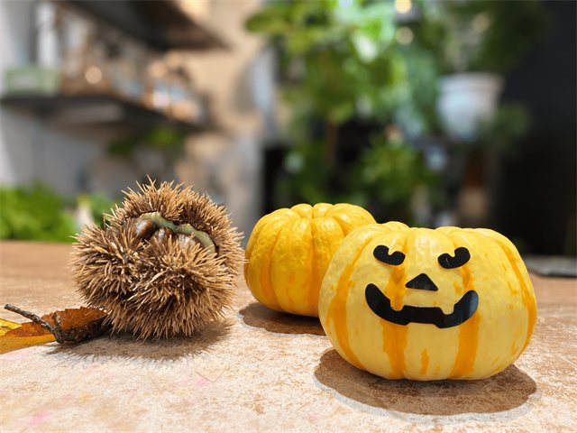 10月31日ハロウィン